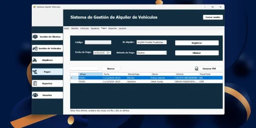 Software - Alquiler de Vehiculos 06